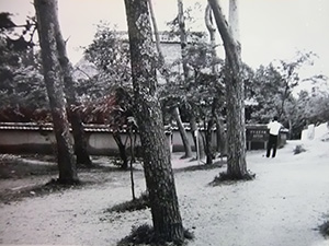 昭和39年開館当初の伊賀流忍者屋敷